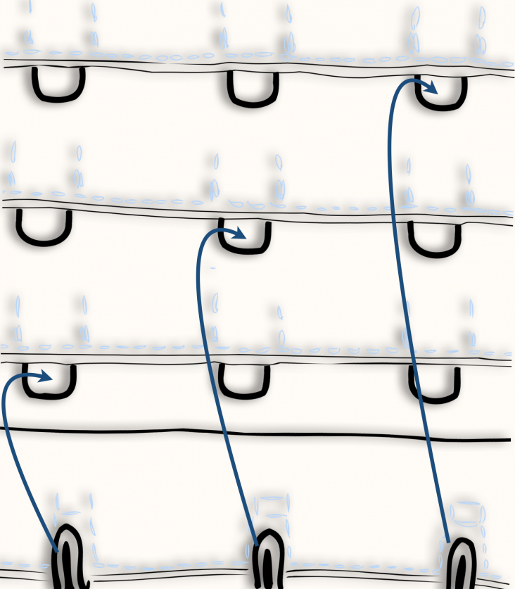 3 padded Hook lines Straps - 3 Positions